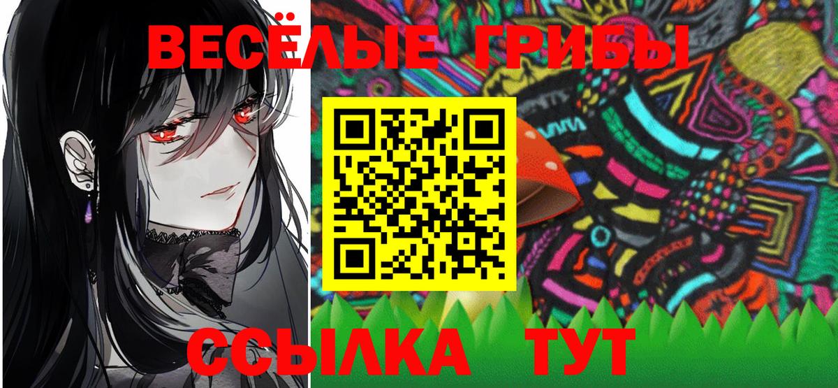 Магадан  Галлюциногенные грибы GOLDEN TEACHER  Вход с VPN 